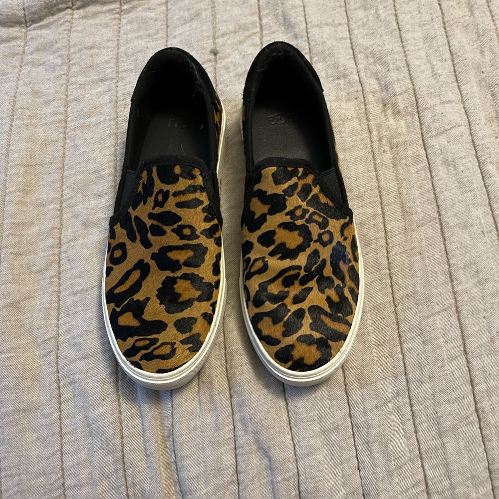 Ugg shoes